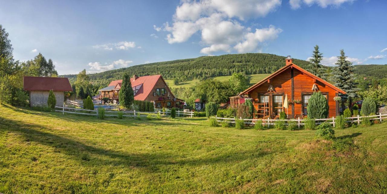 Gleboki Jar Appartement Świeradów-Zdrój Buitenkant foto