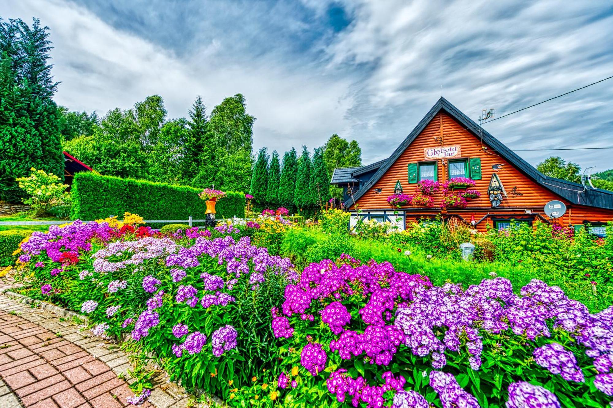 Gleboki Jar Appartement Świeradów-Zdrój Buitenkant foto