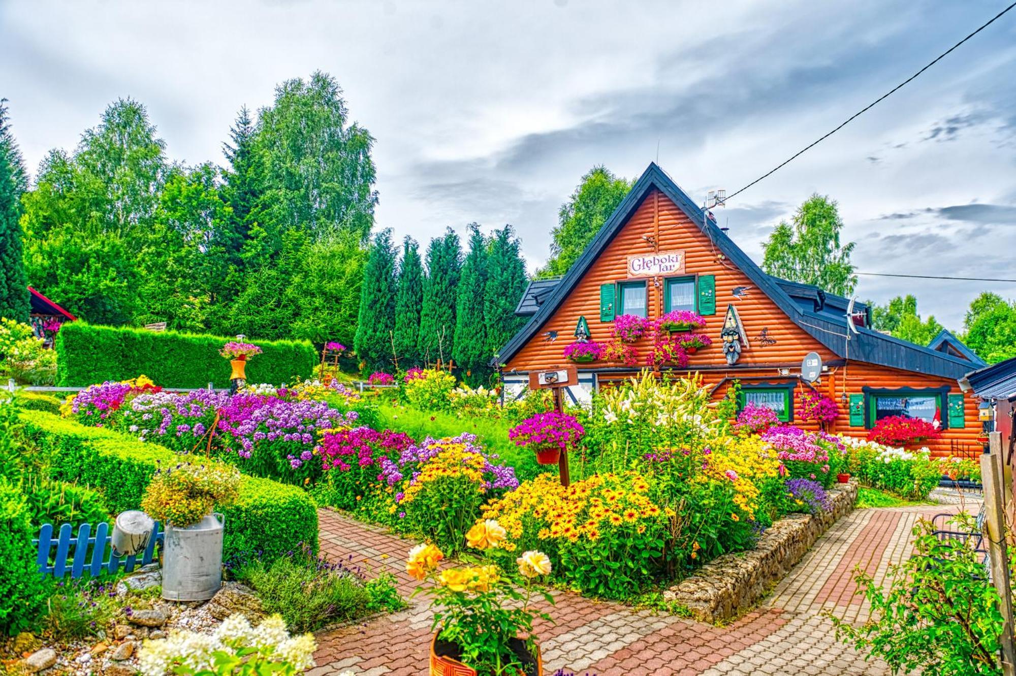 Gleboki Jar Appartement Świeradów-Zdrój Buitenkant foto