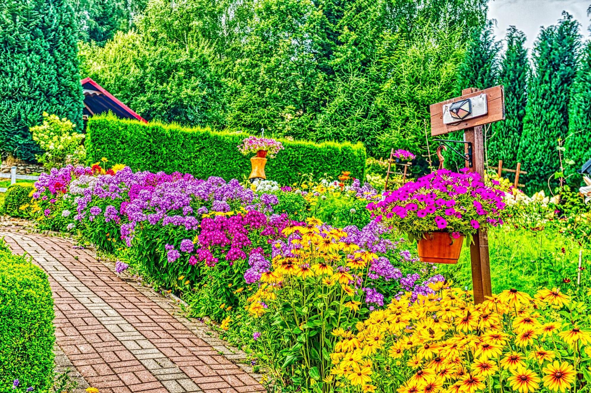 Gleboki Jar Appartement Świeradów-Zdrój Buitenkant foto