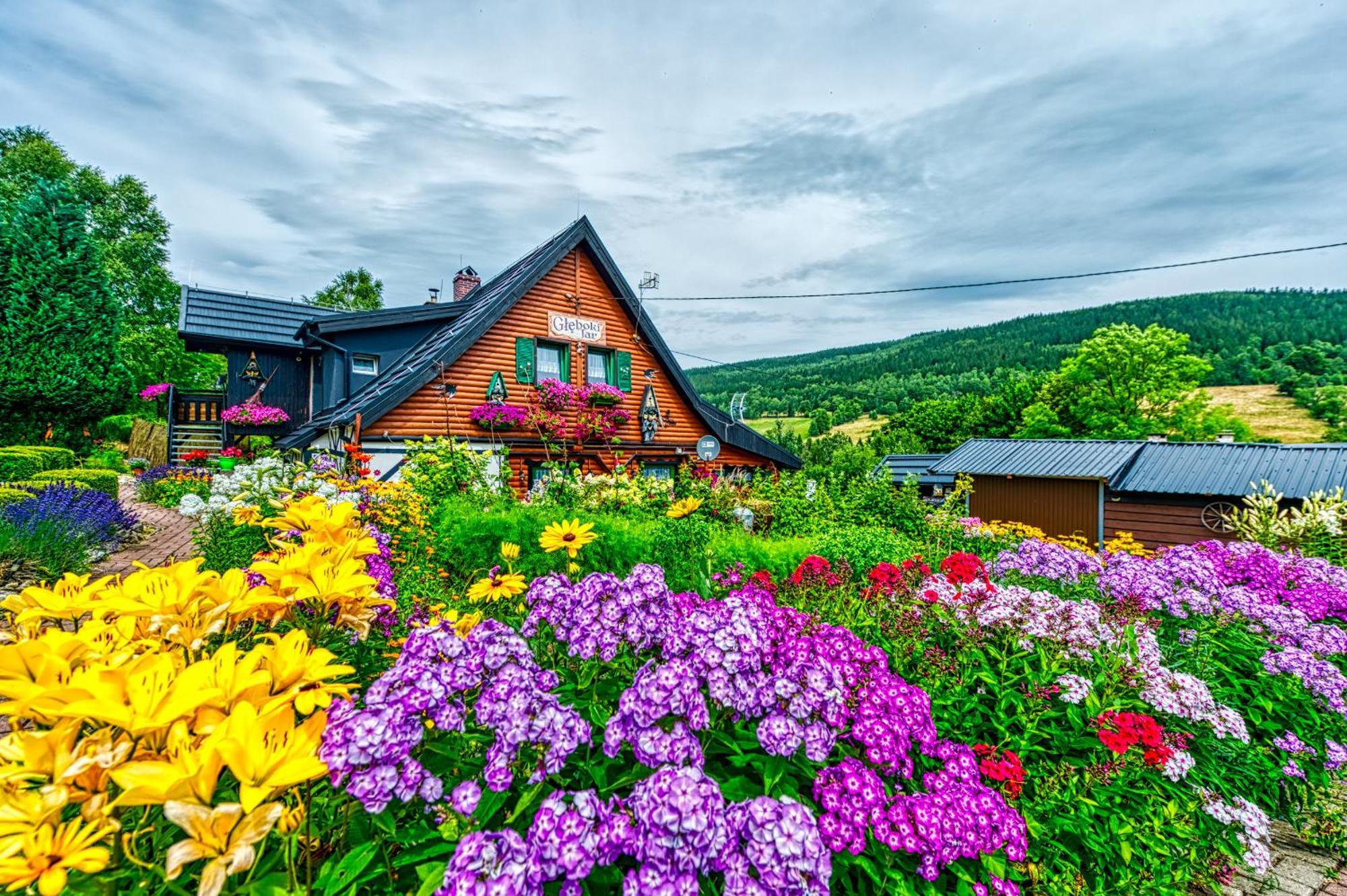 Gleboki Jar Appartement Świeradów-Zdrój Buitenkant foto