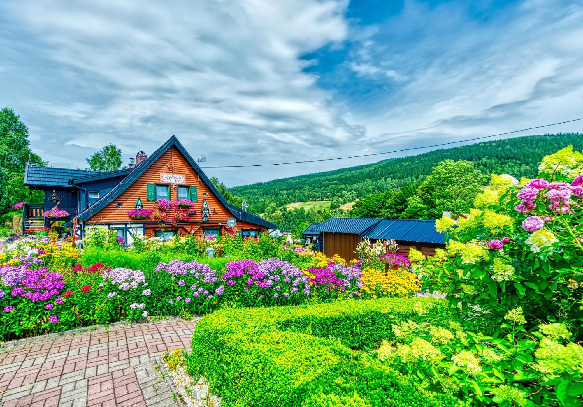 Gleboki Jar Appartement Świeradów-Zdrój Buitenkant foto